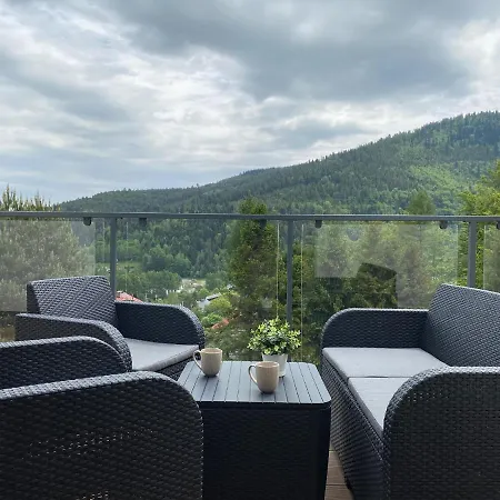 Skandynawski 2-poziomowy Sauna Jacuzzi Apartman