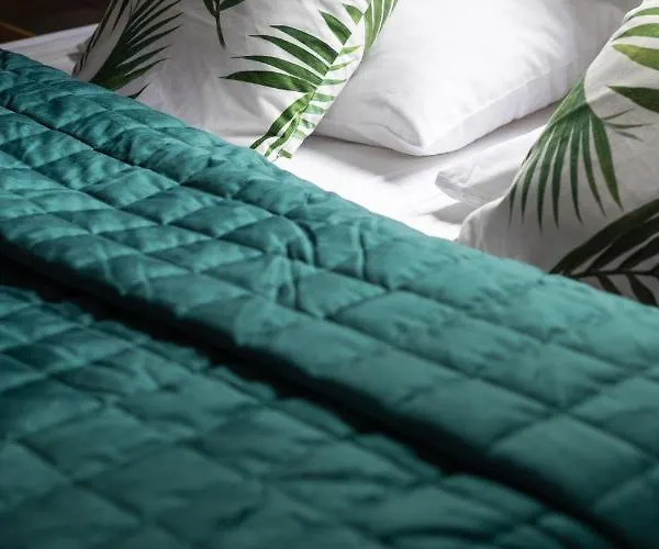 Skandynawski 2-poziomowy Sauna Jacuzzi דירה שצ'צ'ירק